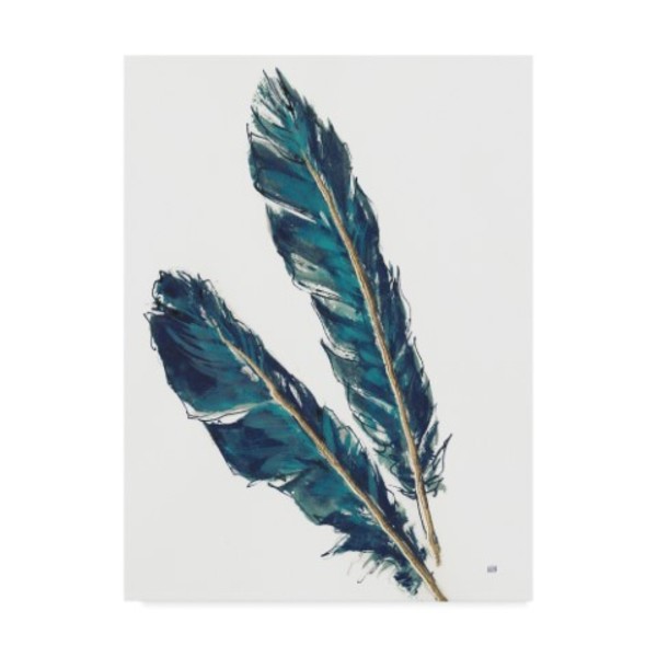 Trademark Fine Art Chris Paschke 'Gold Feathers III Indigo Crop' Canvas Art, 14x19 WAP03628-C1419GG